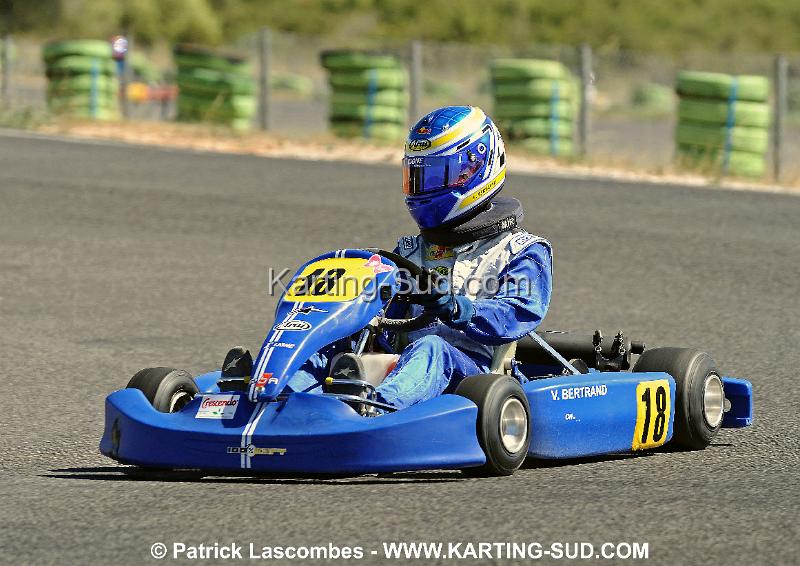 DSC_6686 copie.jpg